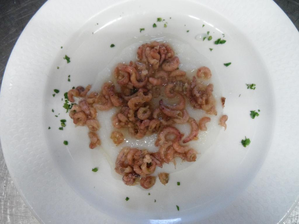 Locanda Gallo Dolo Εξωτερικό φωτογραφία